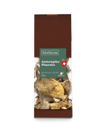 Austernpilze