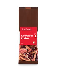 Erdbeeren CH